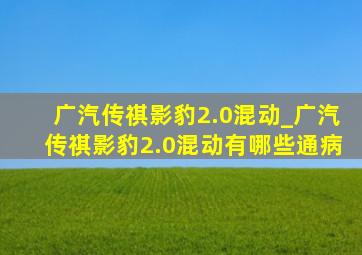 广汽传祺影豹2.0混动_广汽传祺影豹2.0混动有哪些通病