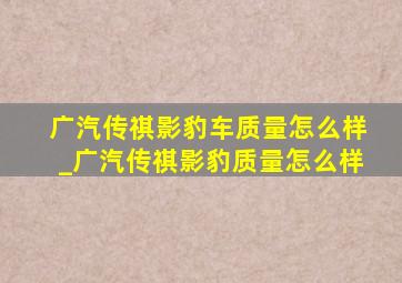 广汽传祺影豹车质量怎么样_广汽传祺影豹质量怎么样