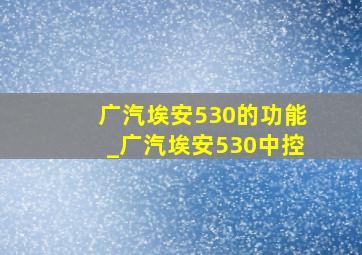 广汽埃安530的功能_广汽埃安530中控