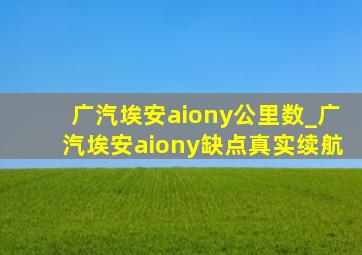 广汽埃安aiony公里数_广汽埃安aiony缺点真实续航