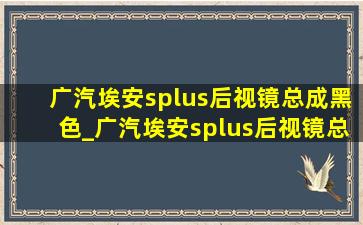 广汽埃安splus后视镜总成黑色_广汽埃安splus后视镜总成多少钱