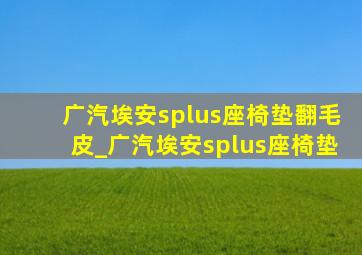 广汽埃安splus座椅垫翻毛皮_广汽埃安splus座椅垫