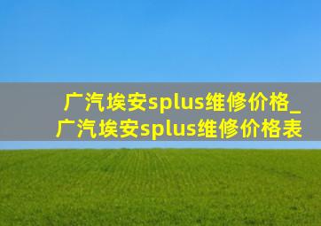 广汽埃安splus维修价格_广汽埃安splus维修价格表