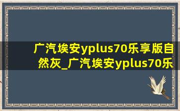 广汽埃安yplus70乐享版自然灰_广汽埃安yplus70乐享版有没有定速巡航