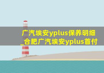 广汽埃安yplus保养明细_合肥广汽埃安yplus首付