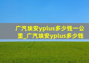 广汽埃安yplus多少钱一公里_广汽埃安yplus多少钱