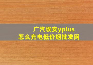 广汽埃安yplus怎么充电(低价烟批发网)