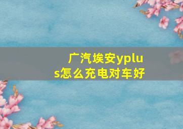 广汽埃安yplus怎么充电对车好