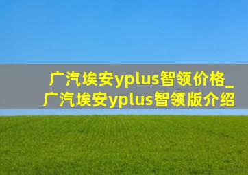 广汽埃安yplus智领价格_广汽埃安yplus智领版介绍