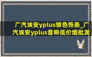 广汽埃安yplus银色饰条_广汽埃安yplus音响(低价烟批发网)喇叭