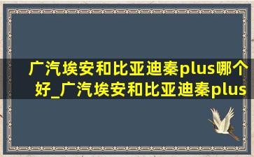 广汽埃安和比亚迪秦plus哪个好_广汽埃安和比亚迪秦plus