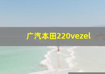 广汽本田220vezel