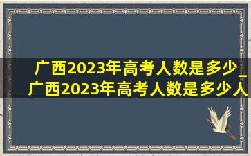 广西2023年高考人数是多少_广西2023年高考人数是多少人