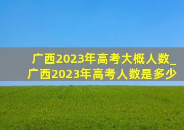 广西2023年高考大概人数_广西2023年高考人数是多少