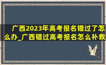 广西2023年高考报名错过了怎么办_广西错过高考报名怎么补救