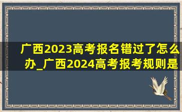 广西2023高考报名错过了怎么办_广西2024高考报考规则是什么