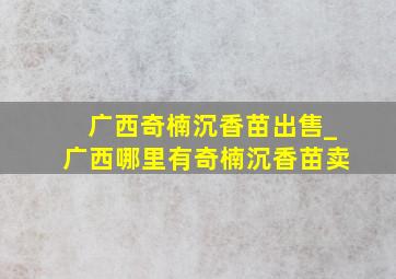 广西奇楠沉香苗出售_广西哪里有奇楠沉香苗卖