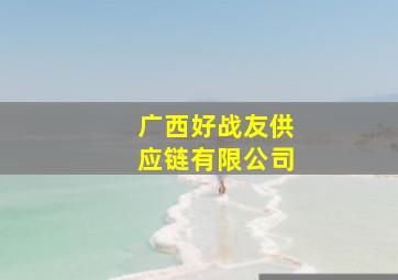 广西好战友供应链有限公司