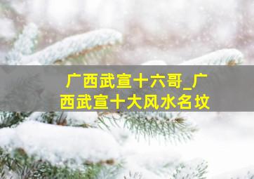 广西武宣十六哥_广西武宣十大风水名坟