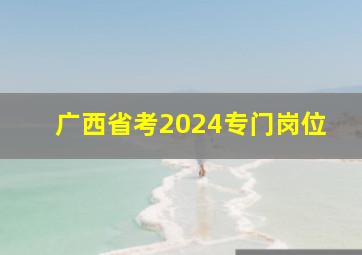 广西省考2024专门岗位