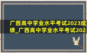 广西高中学业水平考试2023成绩_广西高中学业水平考试2024试卷