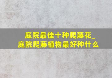 庭院最佳十种爬藤花_庭院爬藤植物最好种什么