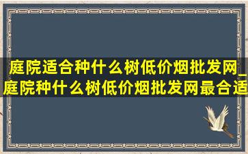 庭院适合种什么树(低价烟批发网)_庭院种什么树(低价烟批发网)最合适