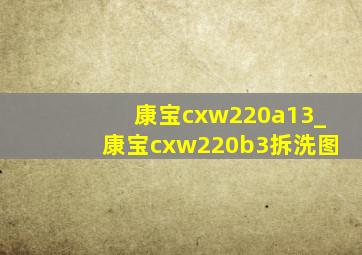 康宝cxw220a13_康宝cxw220b3拆洗图