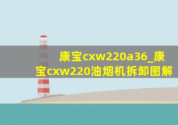 康宝cxw220a36_康宝cxw220油烟机拆卸图解