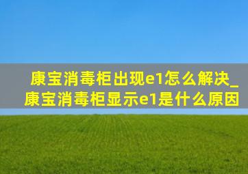 康宝消毒柜出现e1怎么解决_康宝消毒柜显示e1是什么原因