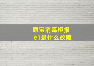 康宝消毒柜报e1是什么故障