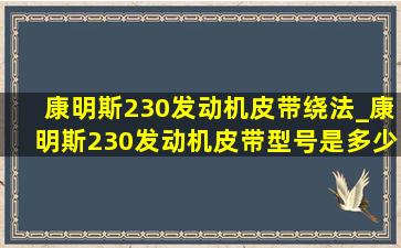 康明斯230发动机皮带绕法_康明斯230发动机皮带型号是多少