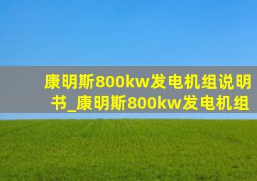 康明斯800kw发电机组说明书_康明斯800kw发电机组