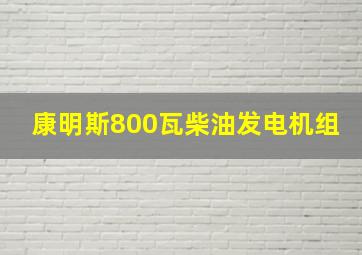 康明斯800瓦柴油发电机组