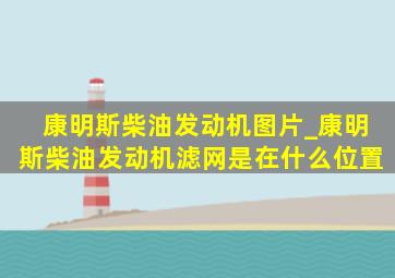 康明斯柴油发动机图片_康明斯柴油发动机滤网是在什么位置