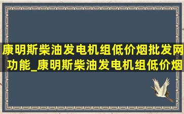 康明斯柴油发电机组(低价烟批发网)功能_康明斯柴油发电机组(低价烟批发网)生产厂家