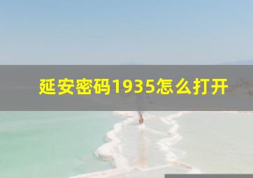 延安密码1935怎么打开