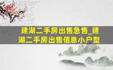 建湖二手房出售急售_建湖二手房出售信息小户型