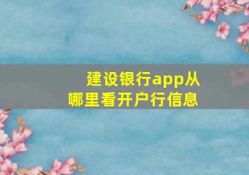 建设银行app从哪里看开户行信息