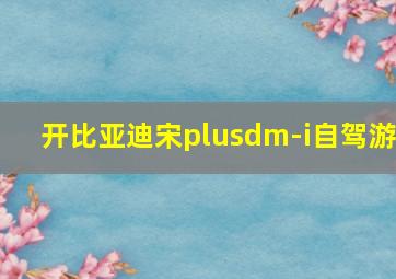 开比亚迪宋plusdm-i自驾游