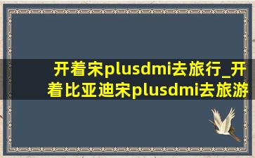 开着宋plusdmi去旅行_开着比亚迪宋plusdmi去旅游