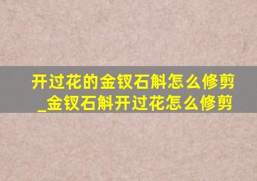 开过花的金钗石斛怎么修剪_金钗石斛开过花怎么修剪