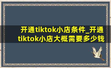 开通tiktok小店条件_开通tiktok小店大概需要多少钱