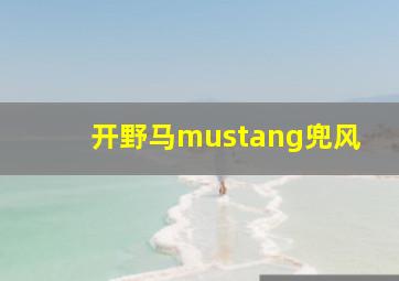 开野马mustang兜风