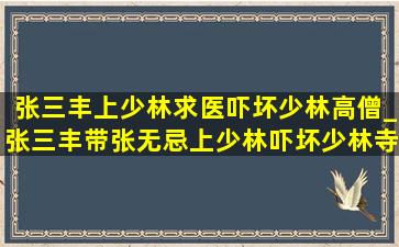 张三丰上少林求医吓坏少林高僧_张三丰带张无忌上少林吓坏少林寺