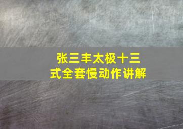 张三丰太极十三式全套慢动作讲解