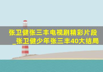 张卫健张三丰电视剧精彩片段_张卫健少年张三丰40大结局