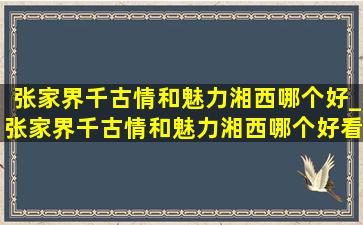 张家界千古情和魅力湘西哪个好_张家界千古情和魅力湘西哪个好看