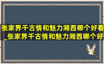 张家界千古情和魅力湘西哪个好看_张家界千古情和魅力湘西哪个好