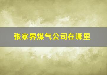 张家界煤气公司在哪里